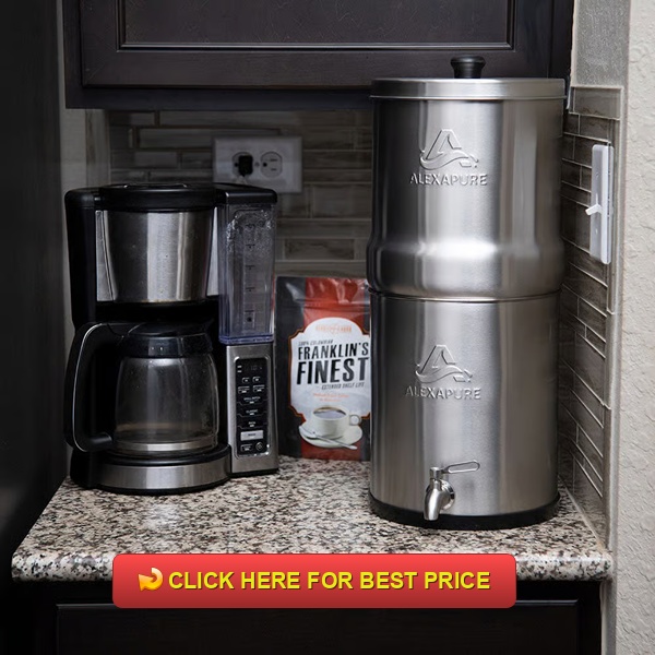 Alexapure Pro Filter Reviews | Long-Term Water Purification Solution